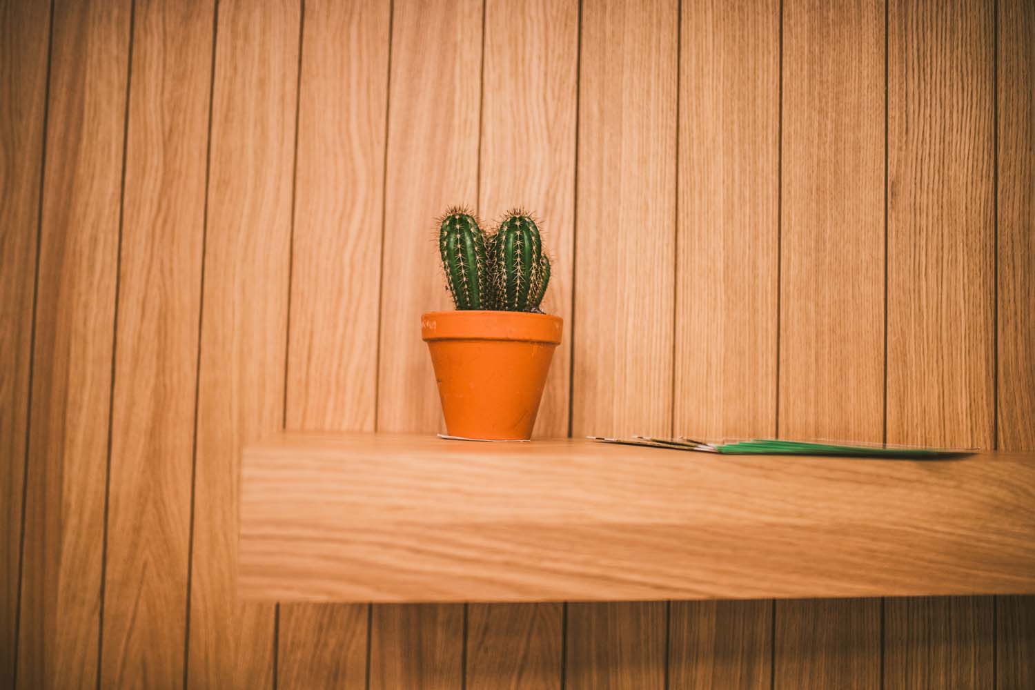 KVDS-20171213-173505-NIKON D5.jpg