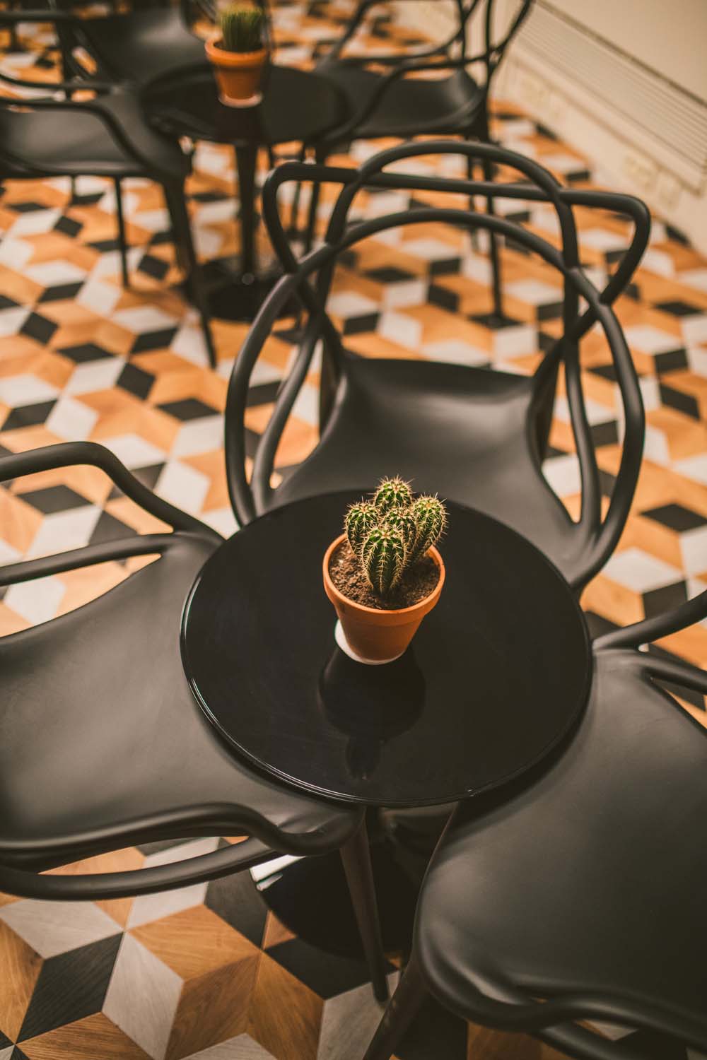 KVDS-20171213-173653-NIKON D5.jpg