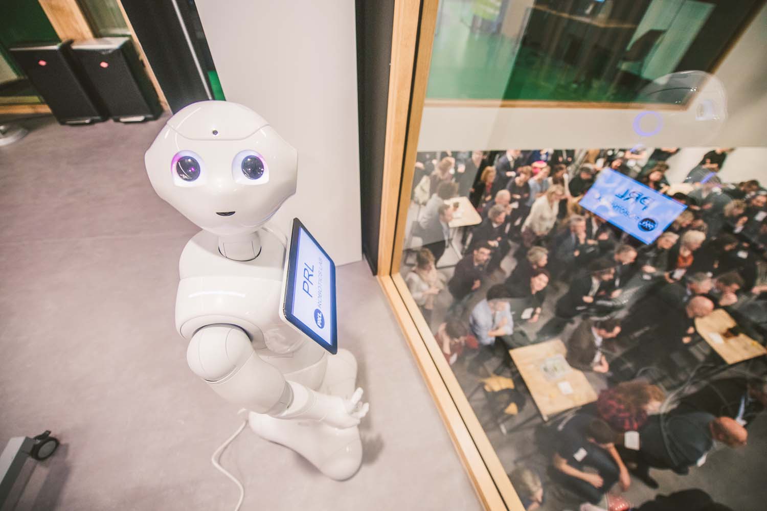 KVDS-20171213-182721-NIKON D5.jpg