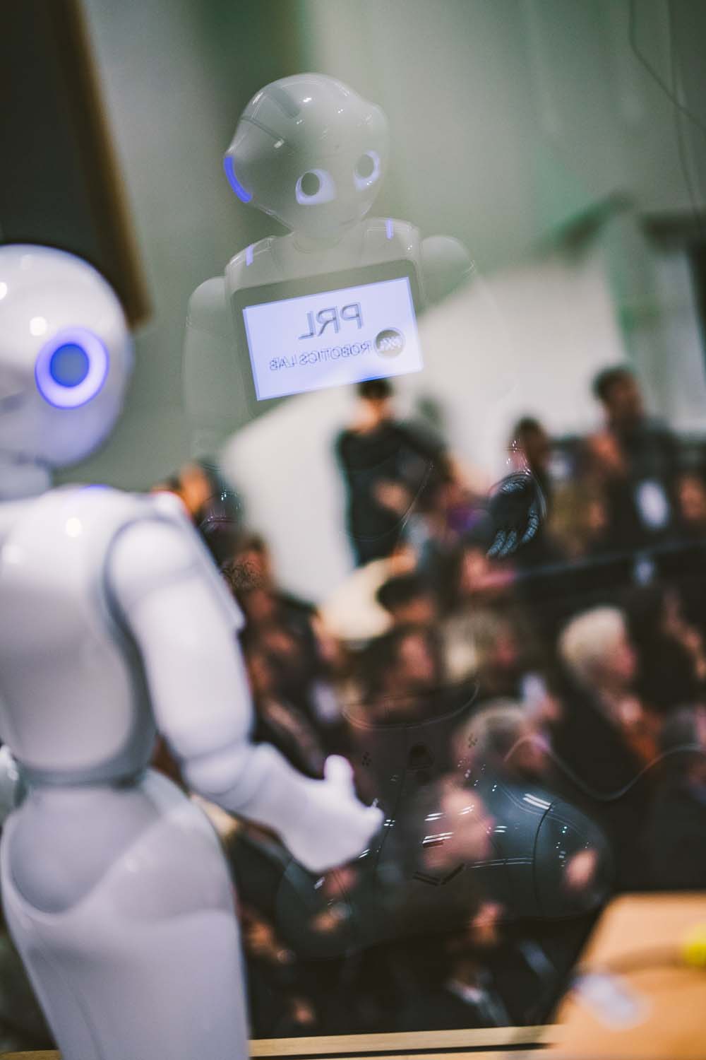 KVDS-20171213-182806-NIKON D5.jpg