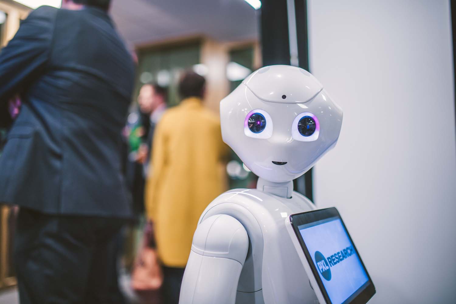 KVDS-20171213-190150-NIKON D5.jpg