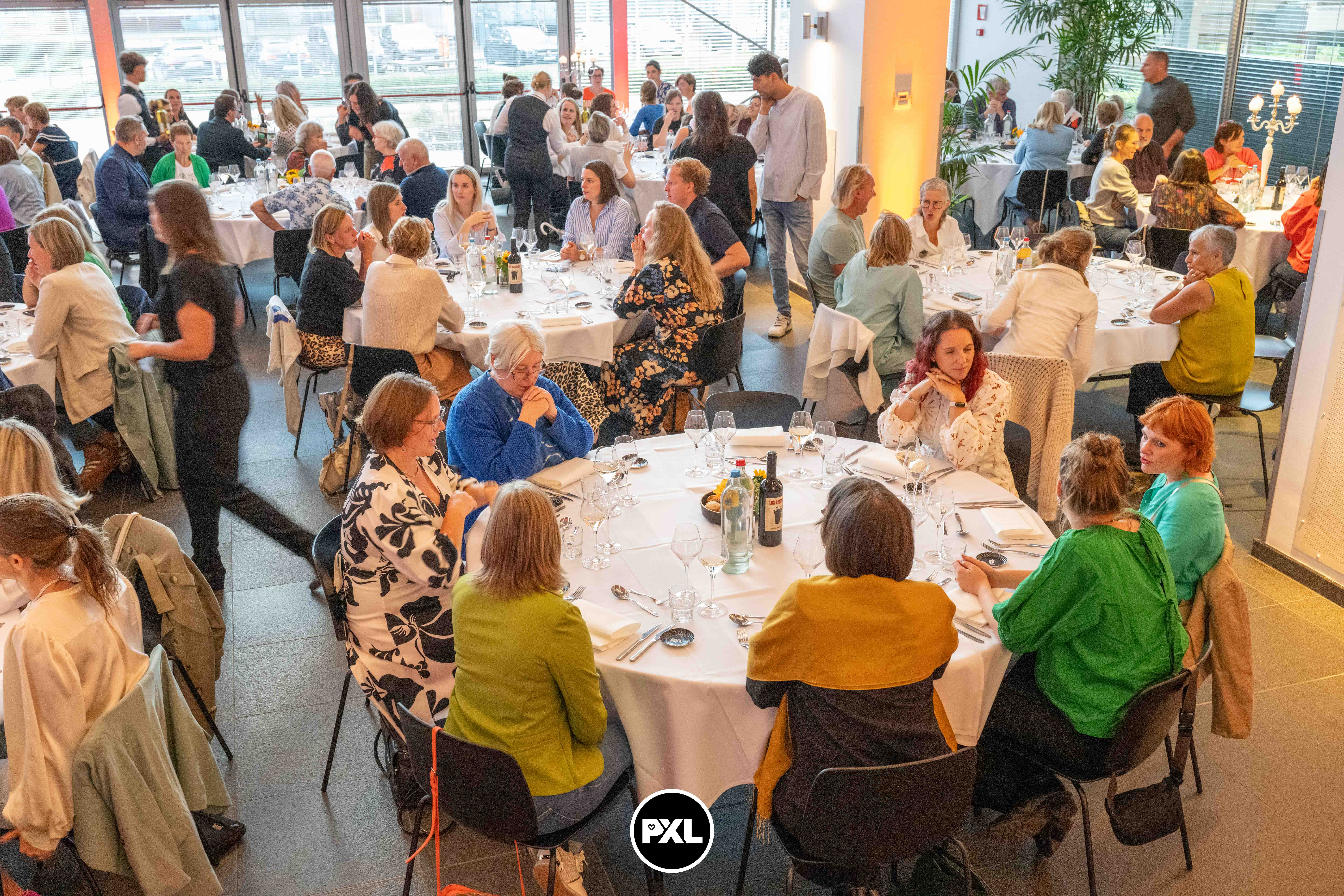 pensioenfeest Marc 09132024_053240 kopiëren.jpg