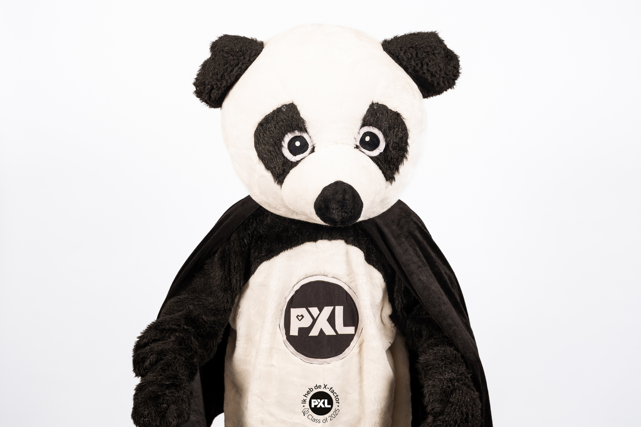 PXL-Proclamatie-20250627-WEB -024.jpg