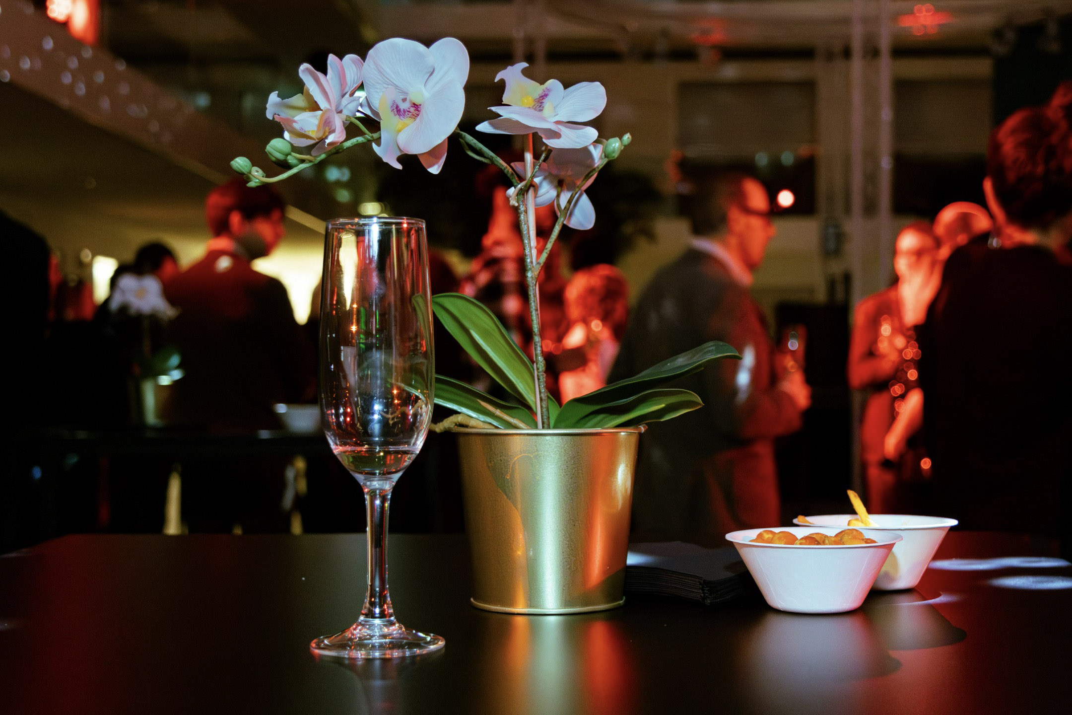 4-HanneVerding_syntrapxl-nieuwjaar-2026_IMG_9374 (Aangepast).jpg